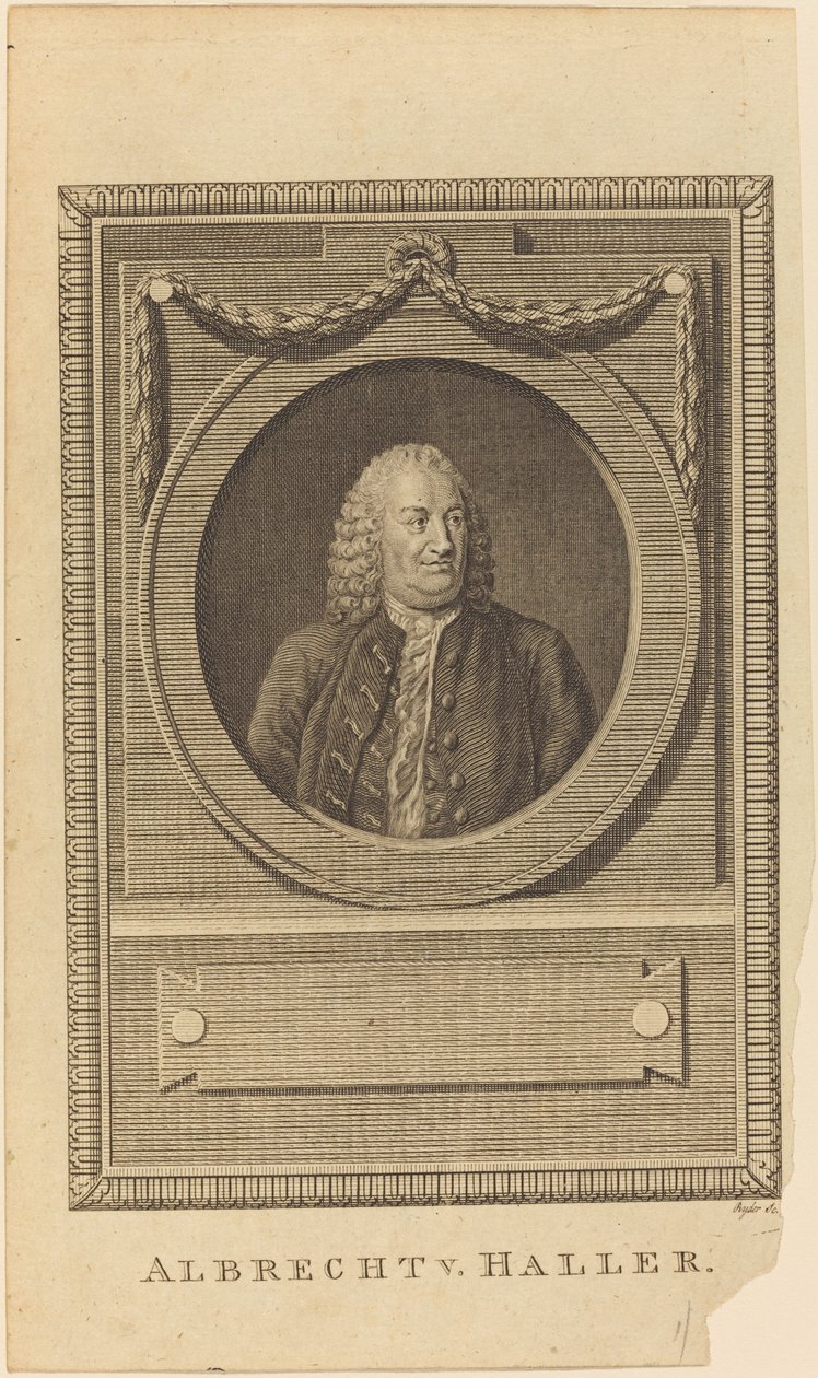 Albrecht V. Haller tekijältä Thomas Ryder