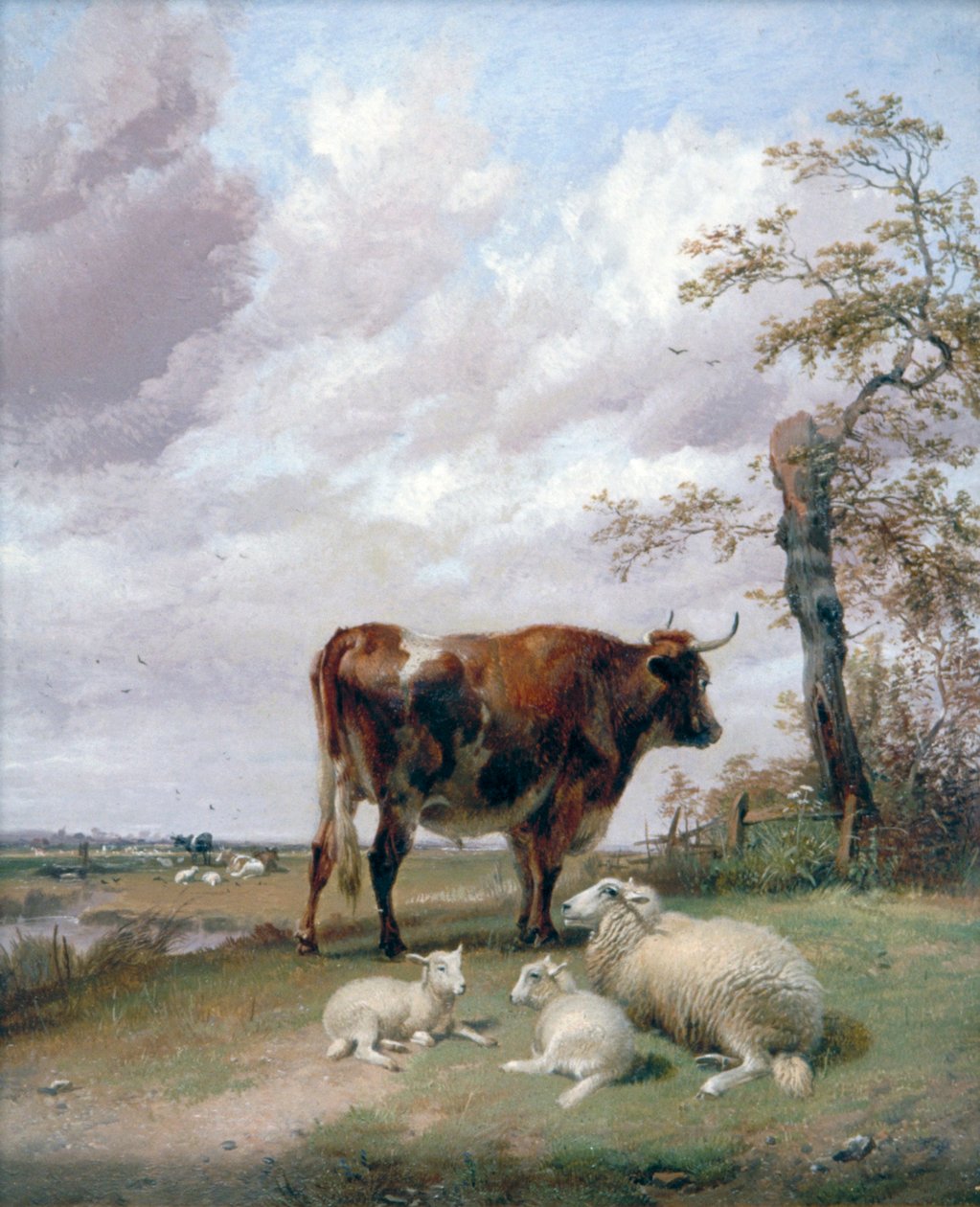 "Canterbury Meadows", 1800-luku. tekijältä Thomas Sidney Cooper
