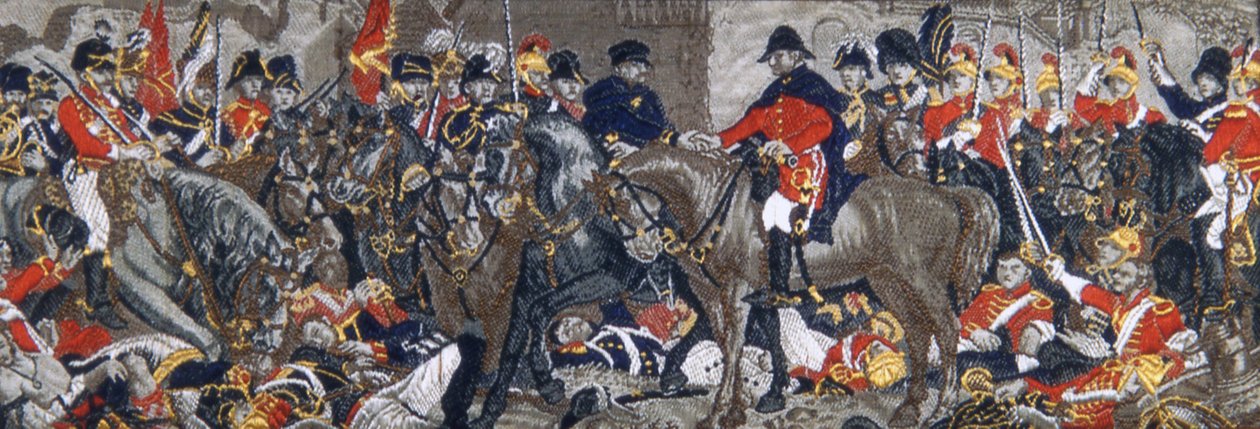 Wellington ja Blucher tekijältä Thomas Stevens