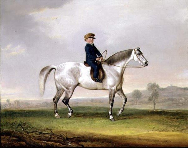 Mestari Edward Humphries harmaalla ponilla tekijältä Thomas Weaver