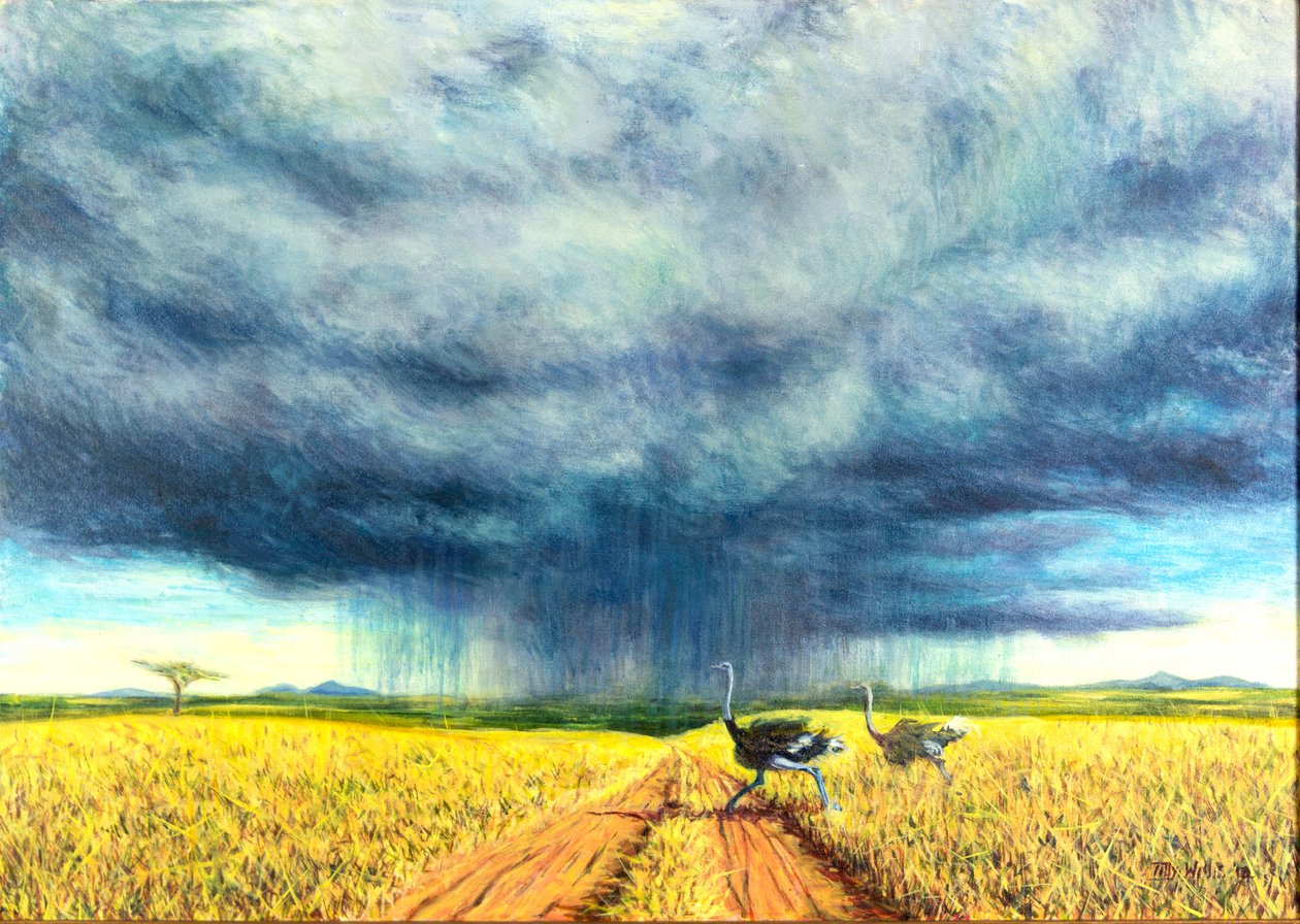 Afrikkalainen myrsky, 2016, tekijältä Tilly Willis