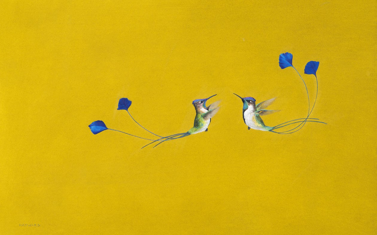 Hummingbirds ( akvarelli ja guassi paperille ) tekijältä Tim Hayward