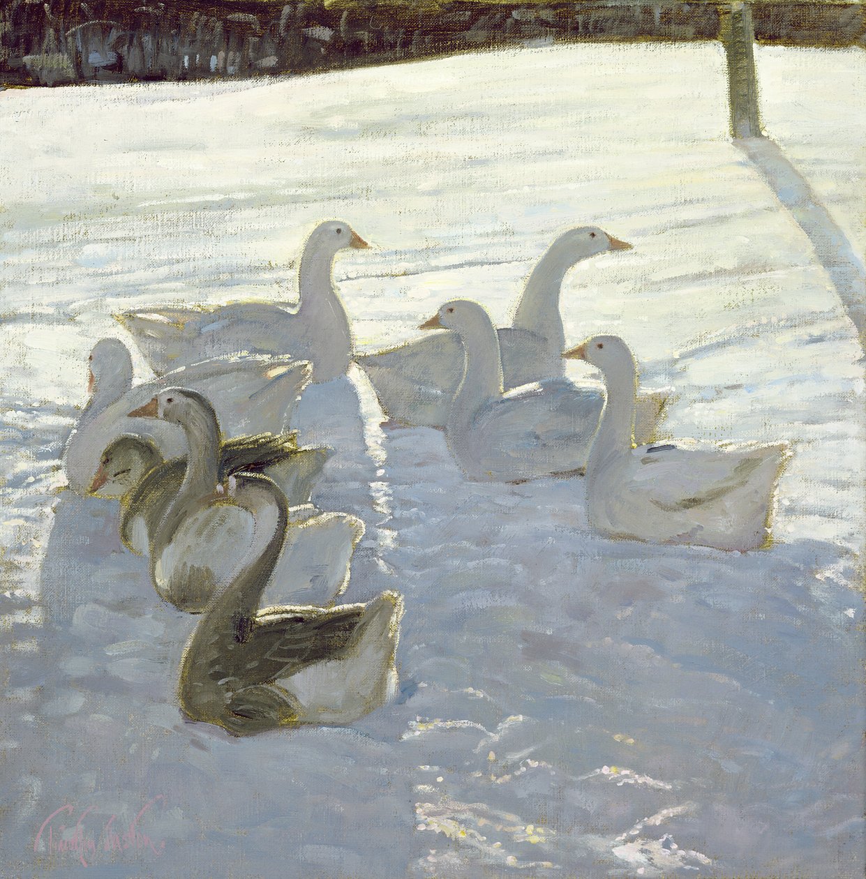 Hanhet valoa vasten tekijältä Timothy Easton