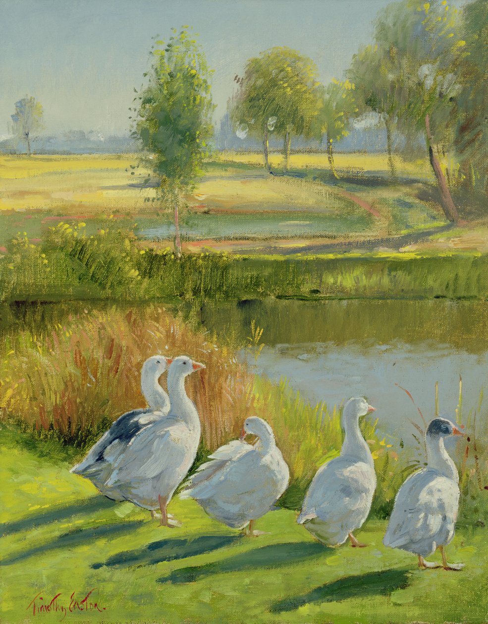 Gooseguard tekijältä Timothy Easton