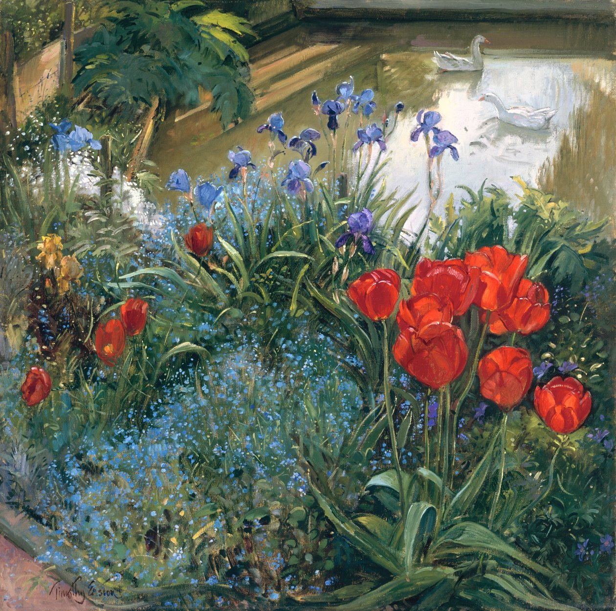 Punaiset tulppaanit ja hanhet tekijältä Timothy Easton