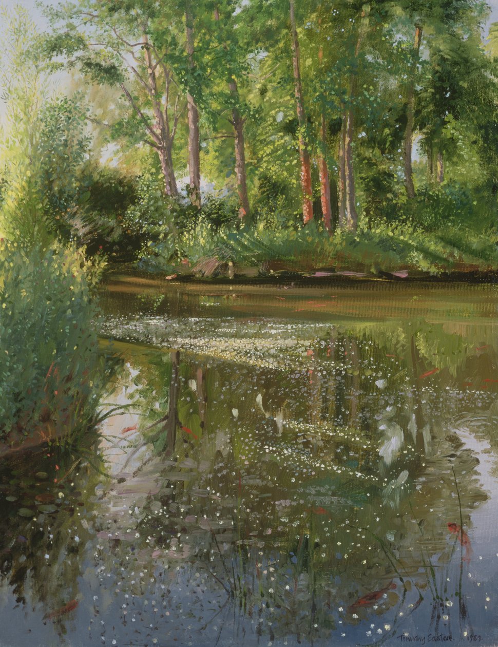 Vesikukkia auringonnousussa tekijältä Timothy Easton