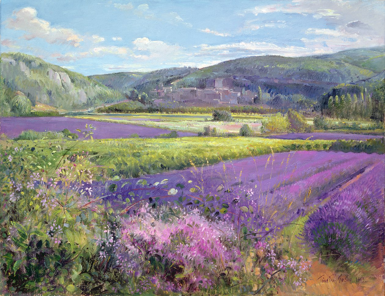 Laventelipellot vanhassa Provencessa tekijältä Timothy Easton