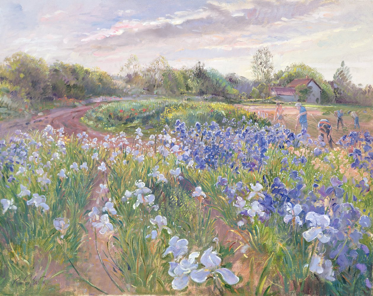 Sunsparkle on Irises, 1996 tekijältä Timothy Easton