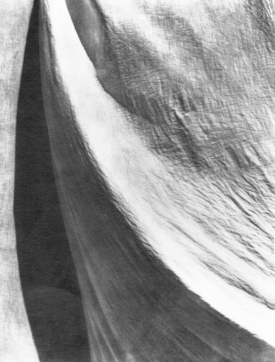 Cloth, Meksiko, 1924 tekijältä Tina Modotti