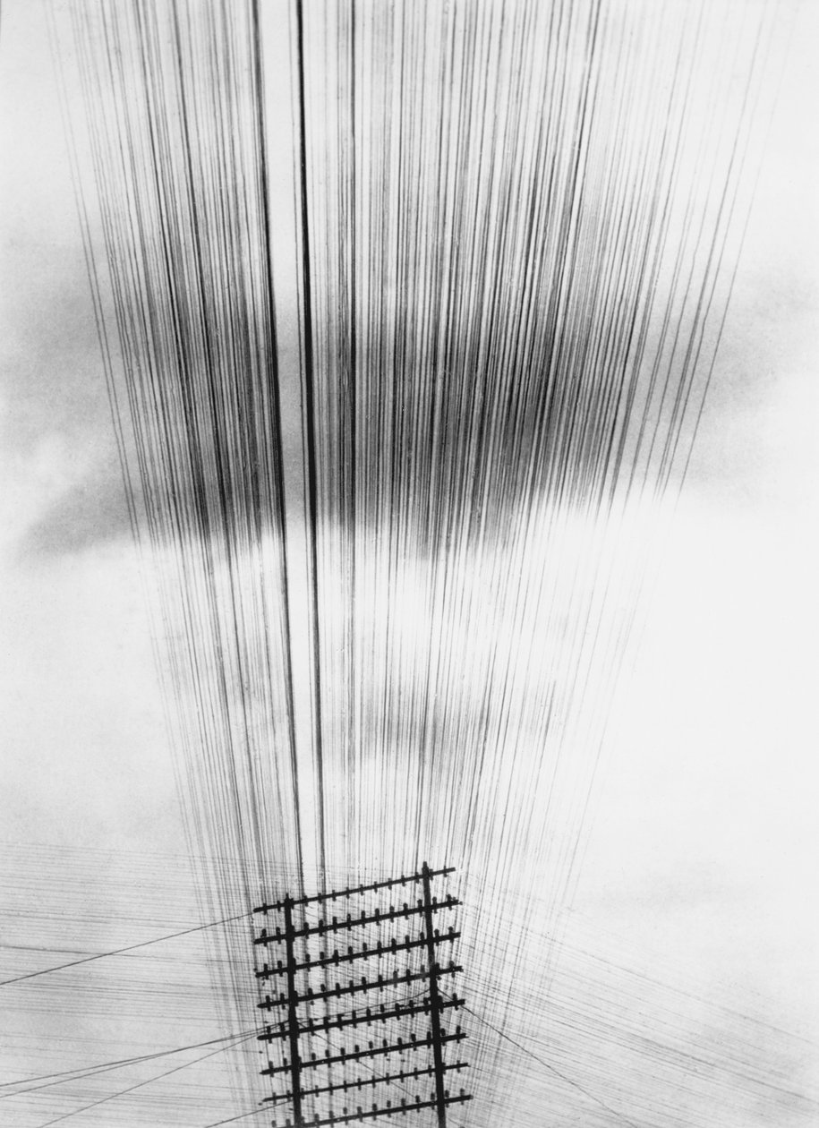 Puhelinjohtoja, Meksiko, 1925 tekijältä Tina Modotti