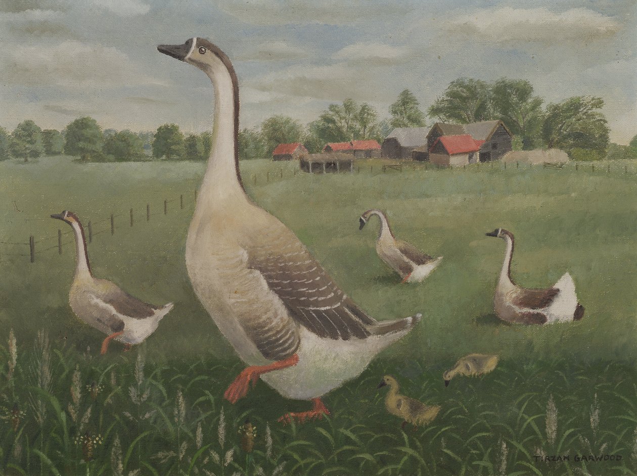 Kuihtuisitko sinä vaeltamaan? tekijältä Tirzah Ravilious