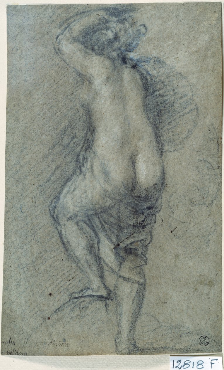 Alaston nainen (liitu paperille) tekijältä Titian (c.1488 1576)