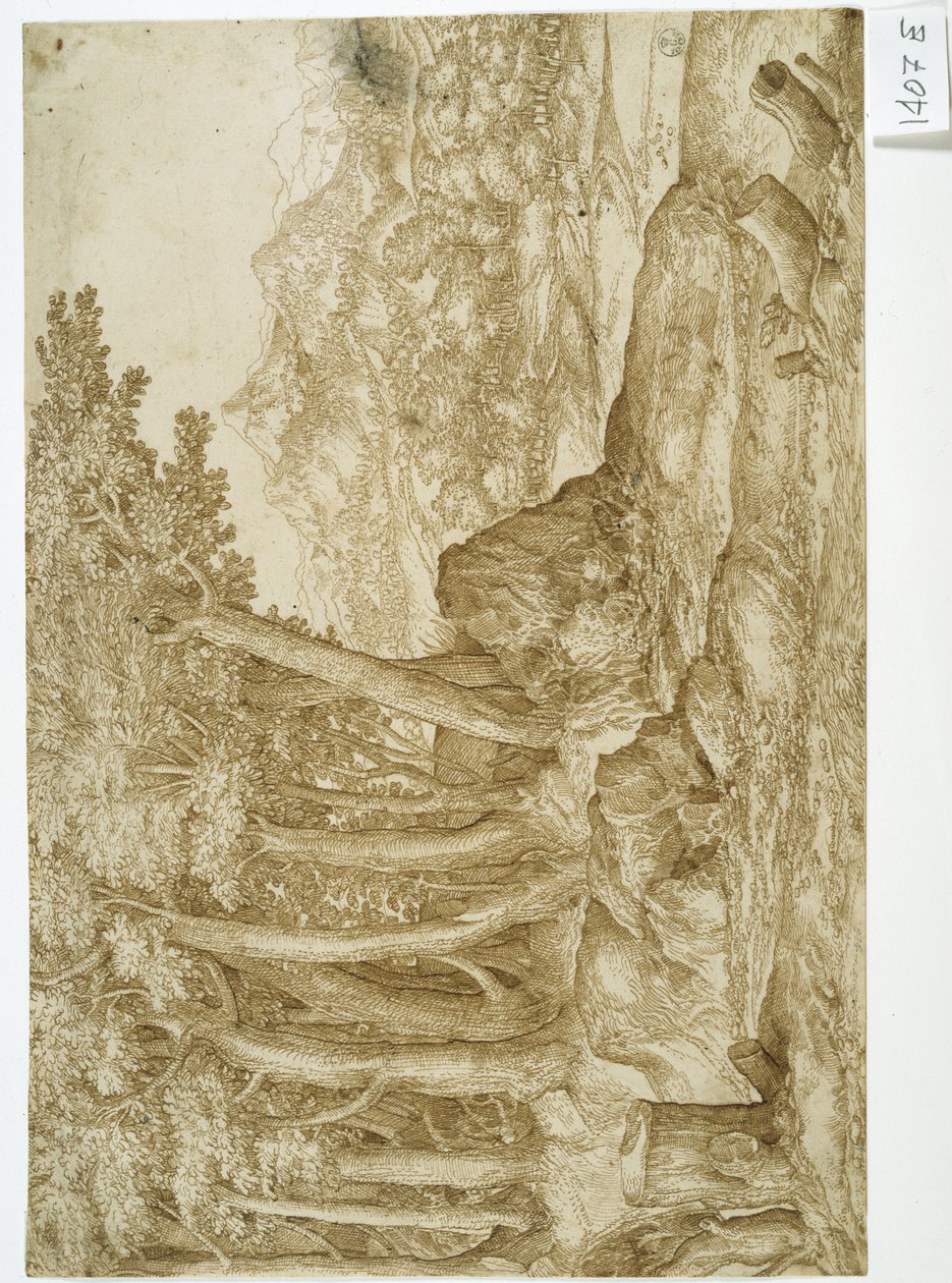 Maisema (tussi ja muste paperille) tekijältä Titian (c.1488 1576)