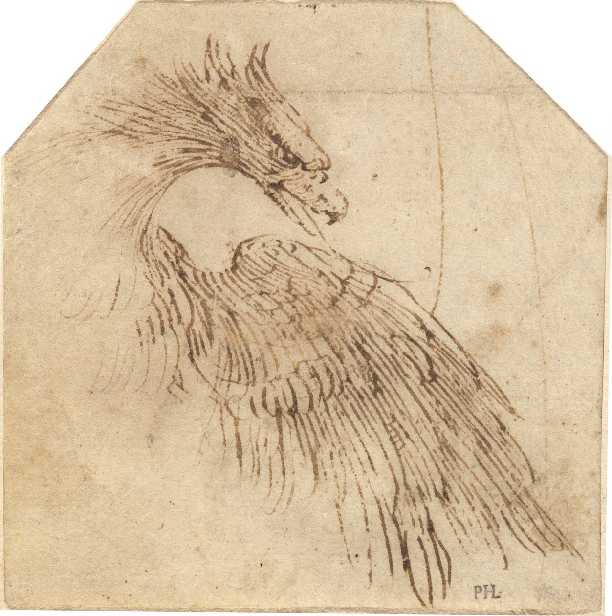 Kotka tekijältä Titian