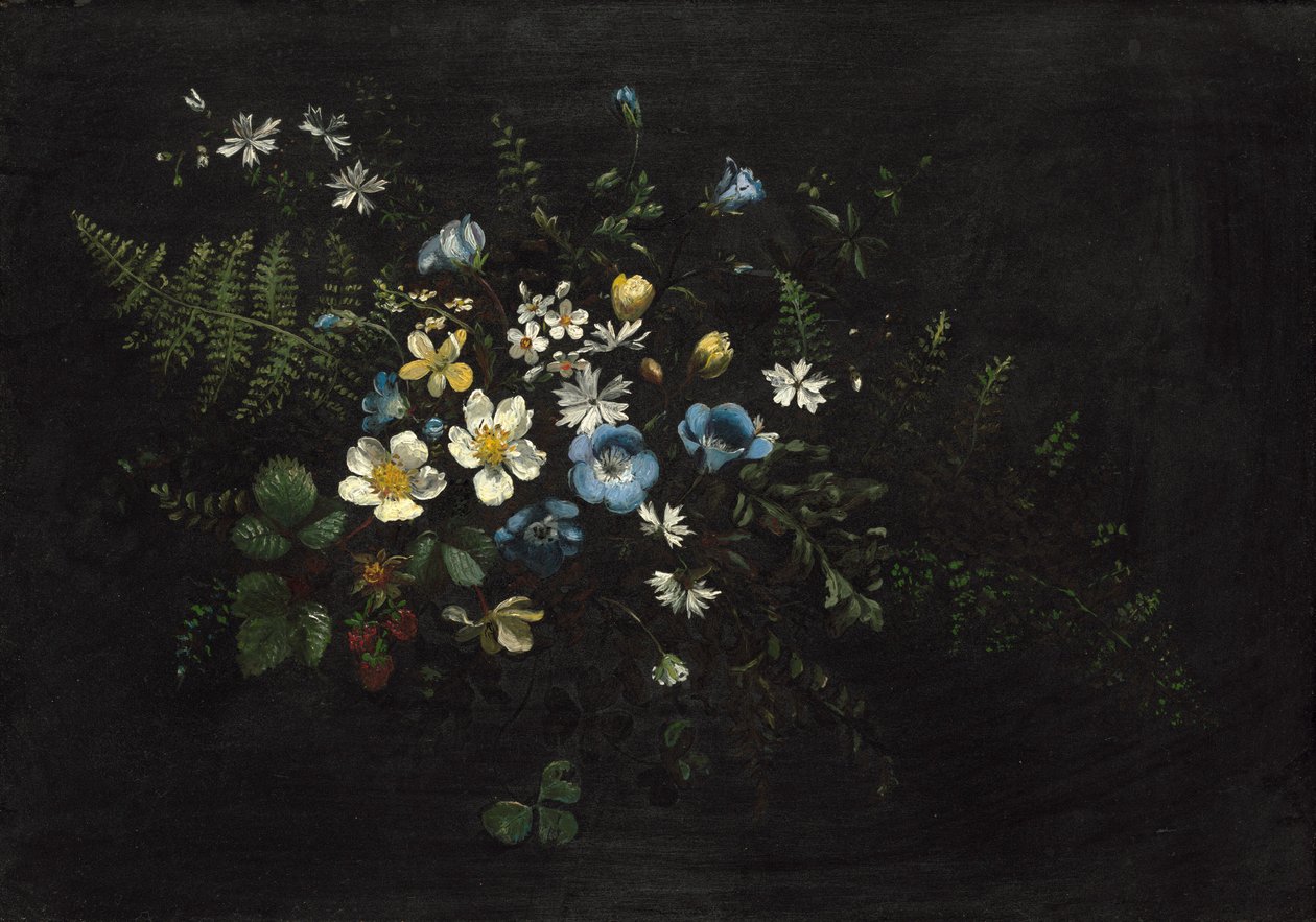 Kukkien ja saniaisten ruiskutus tekijältä Titian Ramsay Peale