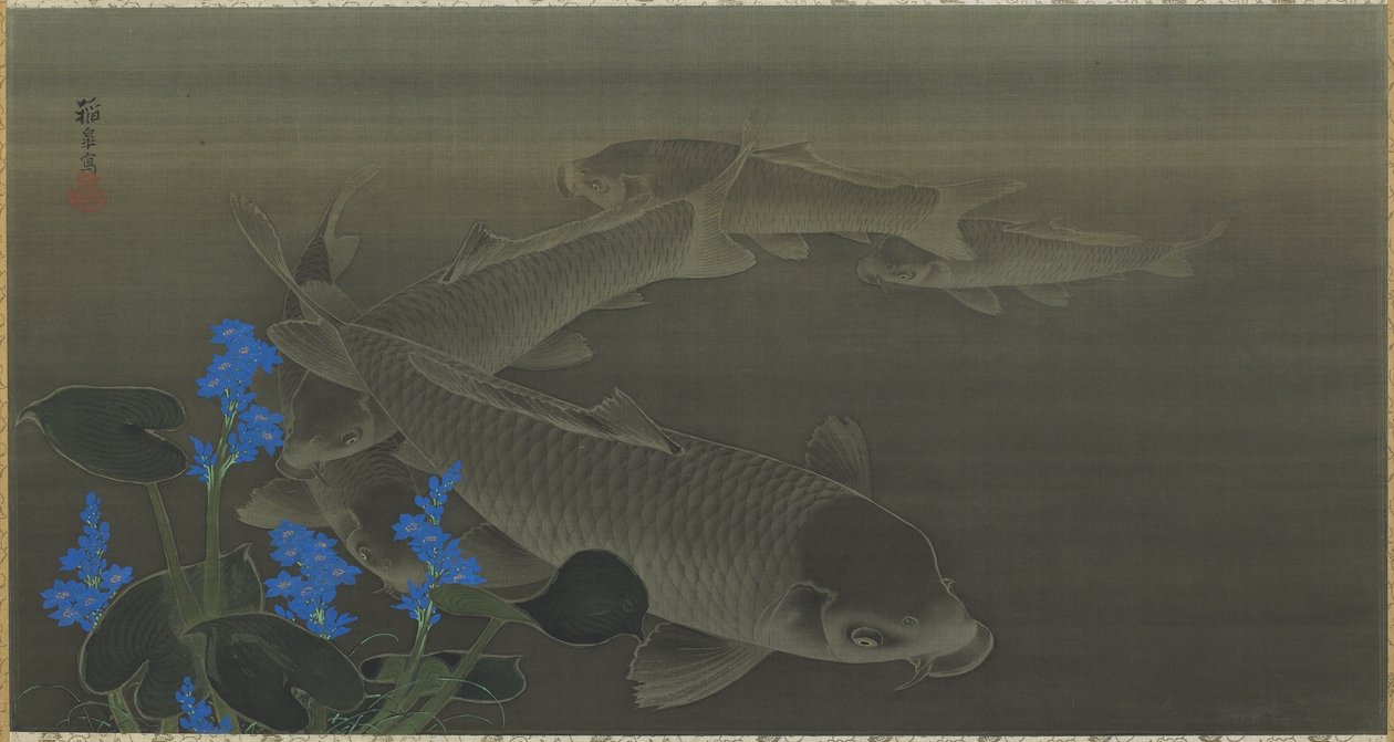 Karppi, Edo-kausi, 1787-1846 (tussi ja väri silkille) tekijältä Toko Kuroda