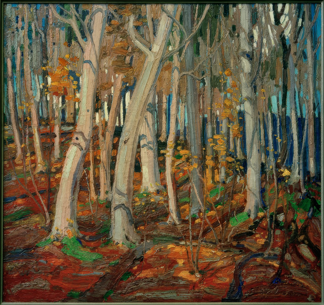 Maple Woods, Bare Trunks, 1916 tekijältä Tom Thomson