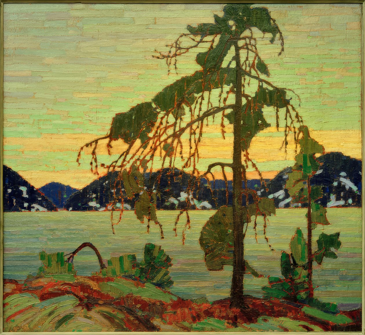 Jack Pine tekijältä Tom Thomson