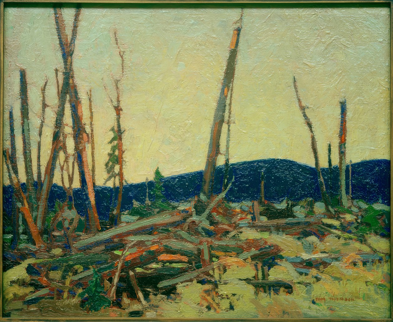 Poltettu maa tekijältä Tom Thomson