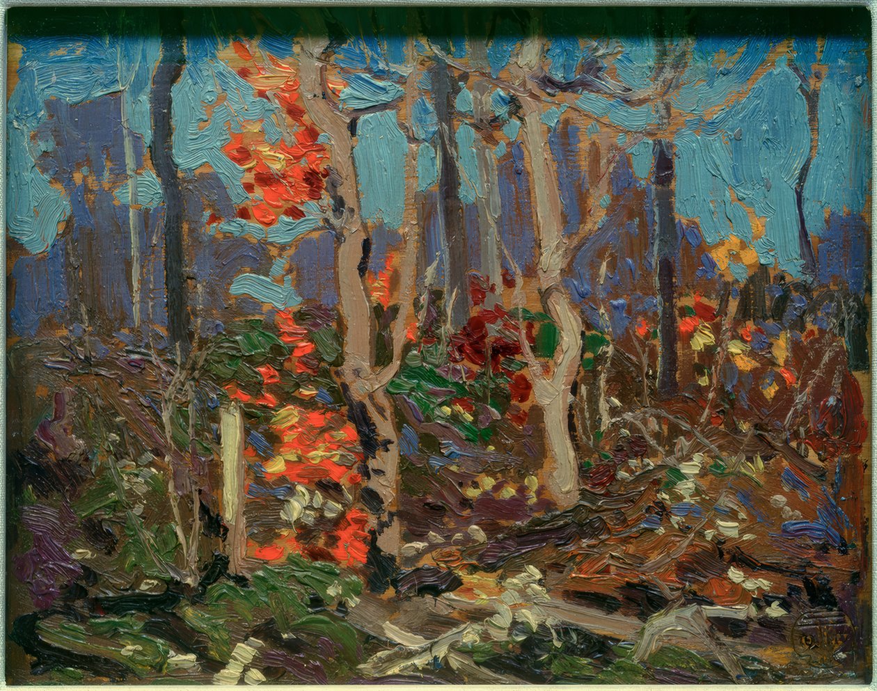 Ragged Oaks tekijältä Tom Thomson