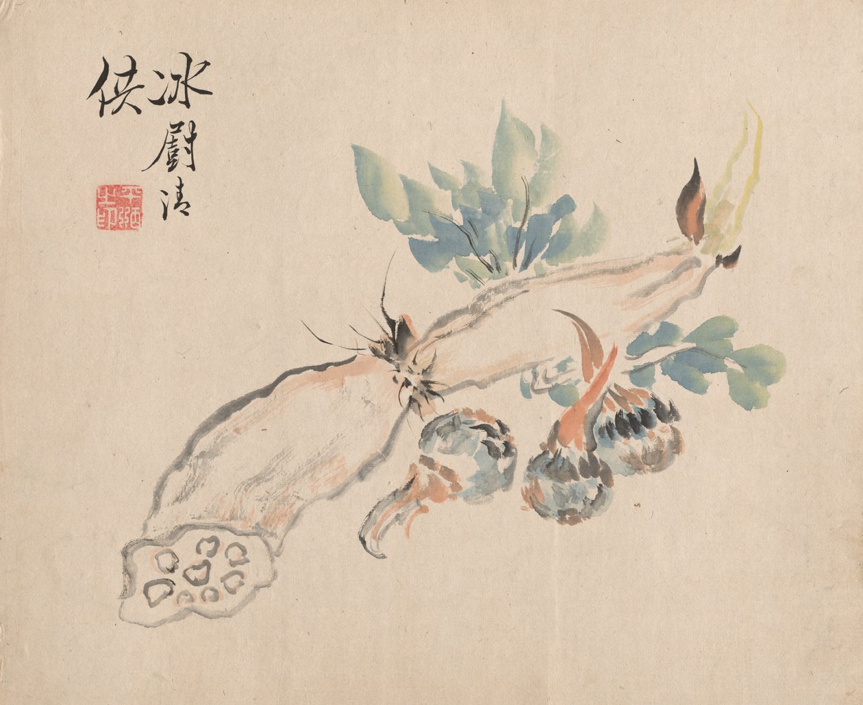 Lotus Root ja Adders Tongue. tekijältä Tsubaki Chinzan