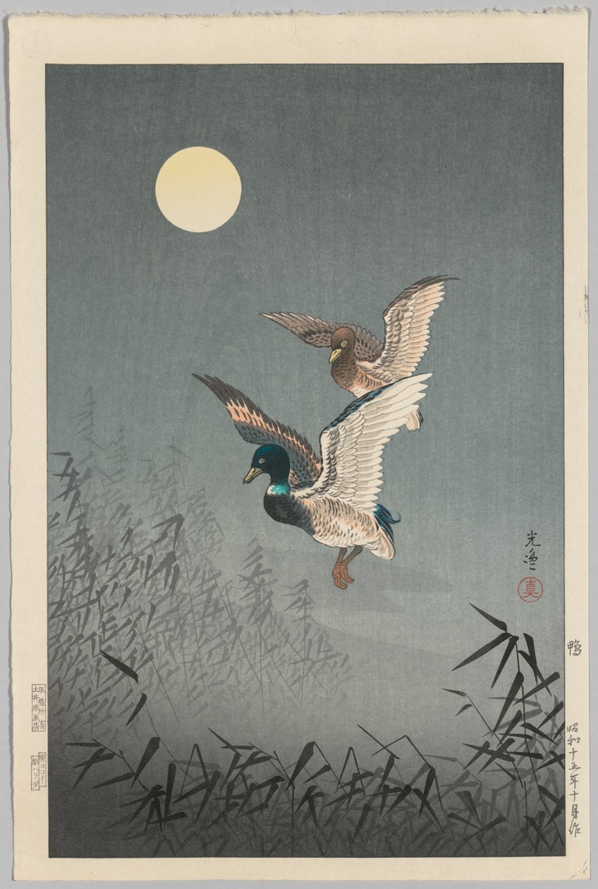 Tokion näkymät: Ducks tekijältä Tsuchiya Kōitsu