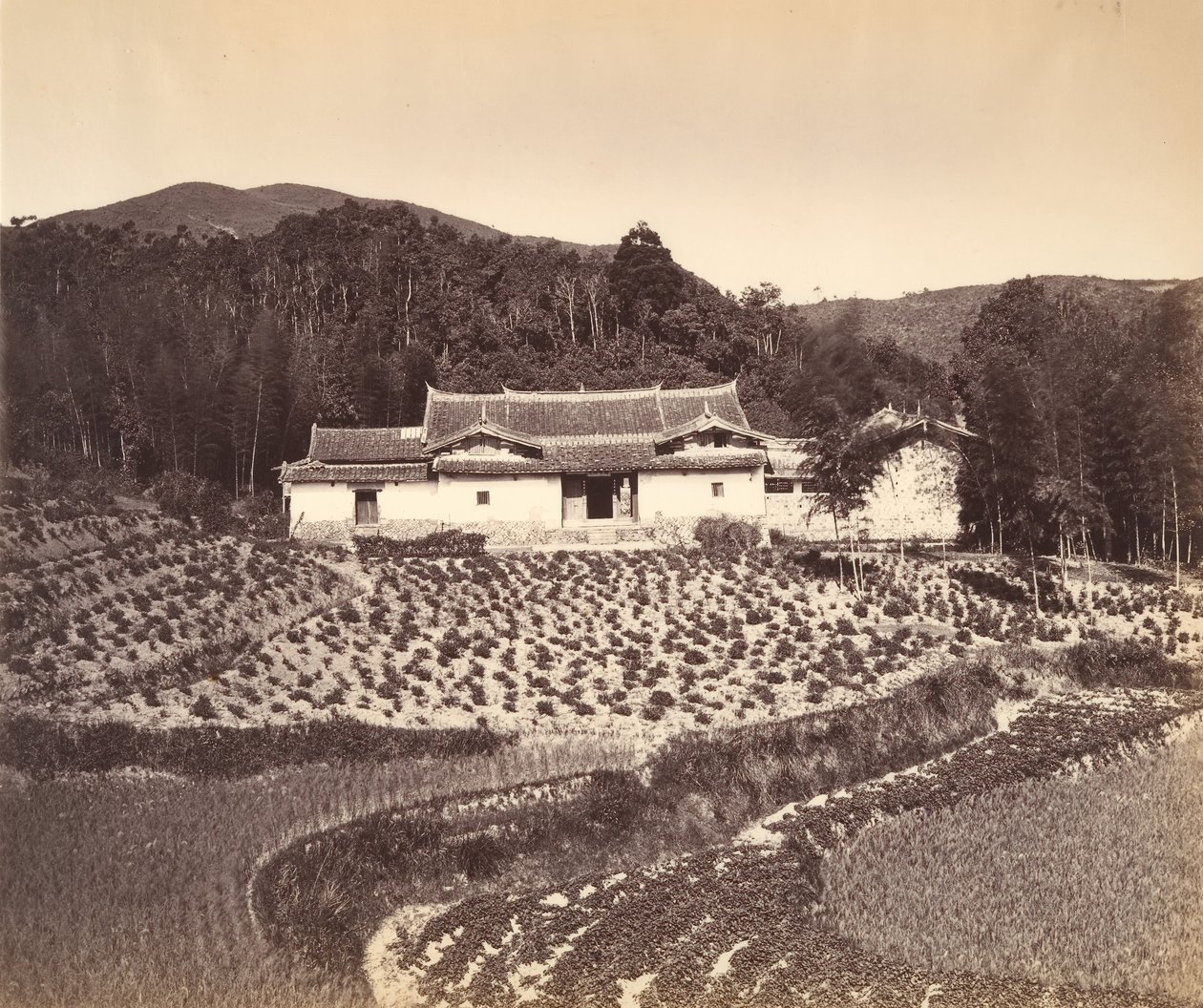 Teafield & Josshouse Pelingissä, n. 1869. tekijältä Tung Hing.