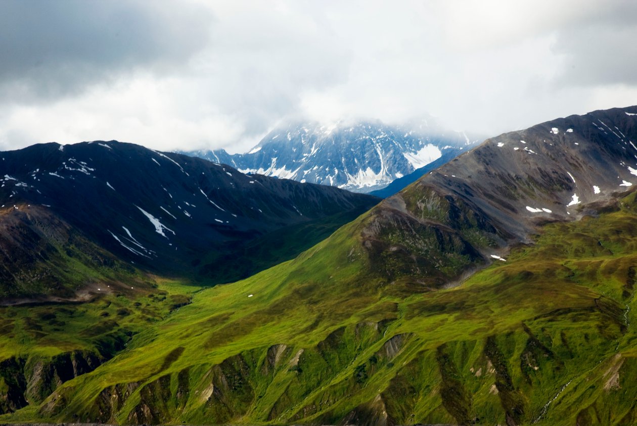 Alaskan tundra, Denalin kansallispuisto, Alaska tekijältä Unbekannt Unbekannt