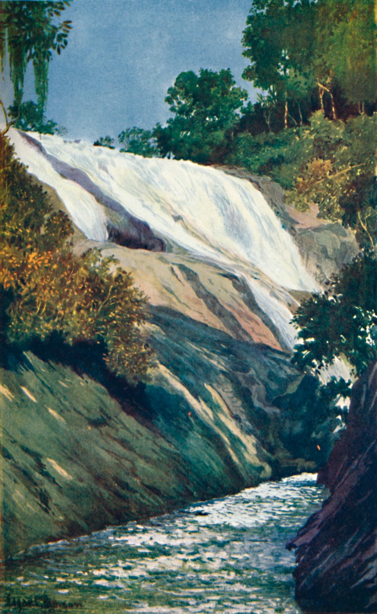 Cascade to Tijuca, Rio, 1914 tekijältä Unbekannt