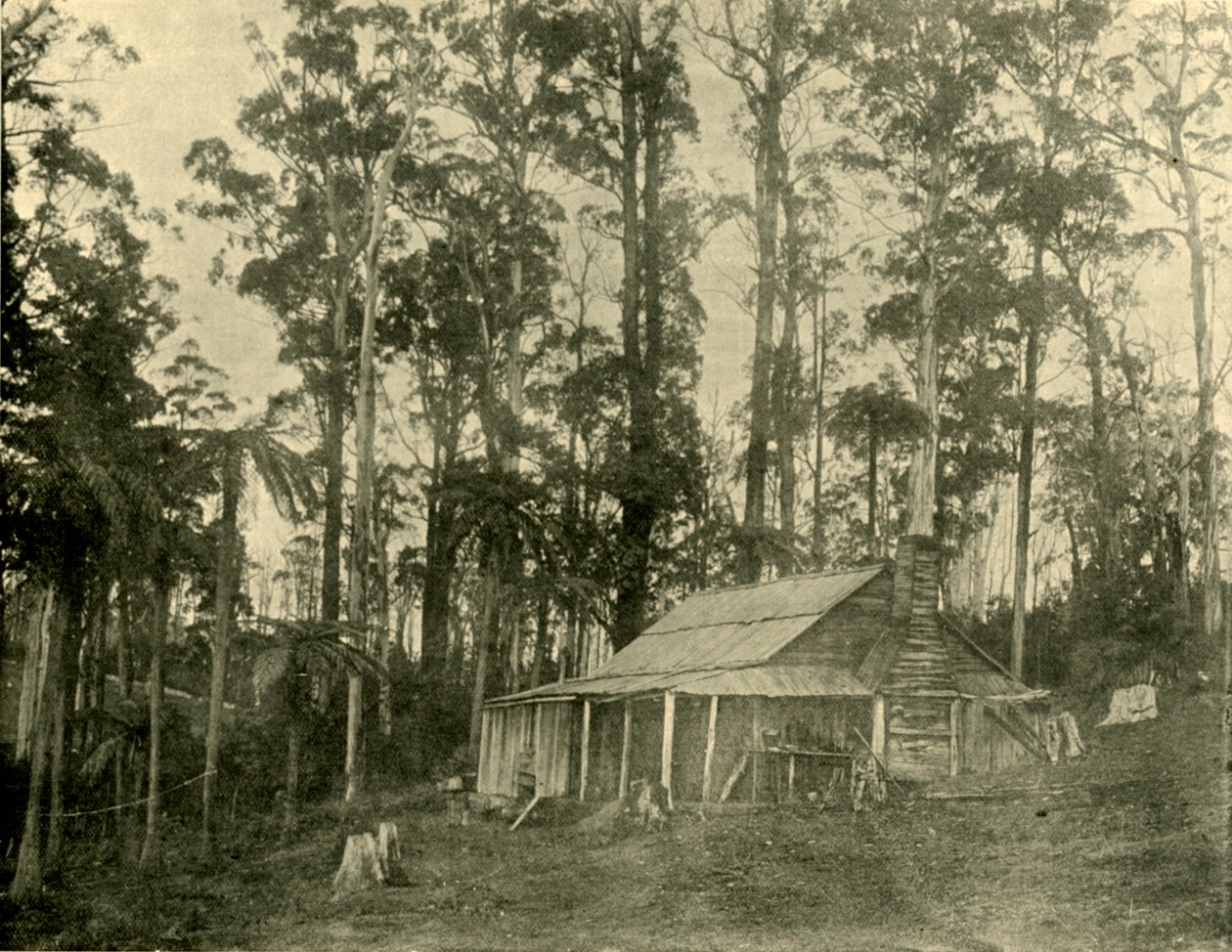 Maalaismainen asunto, 1901. tekijältä Unbekannt