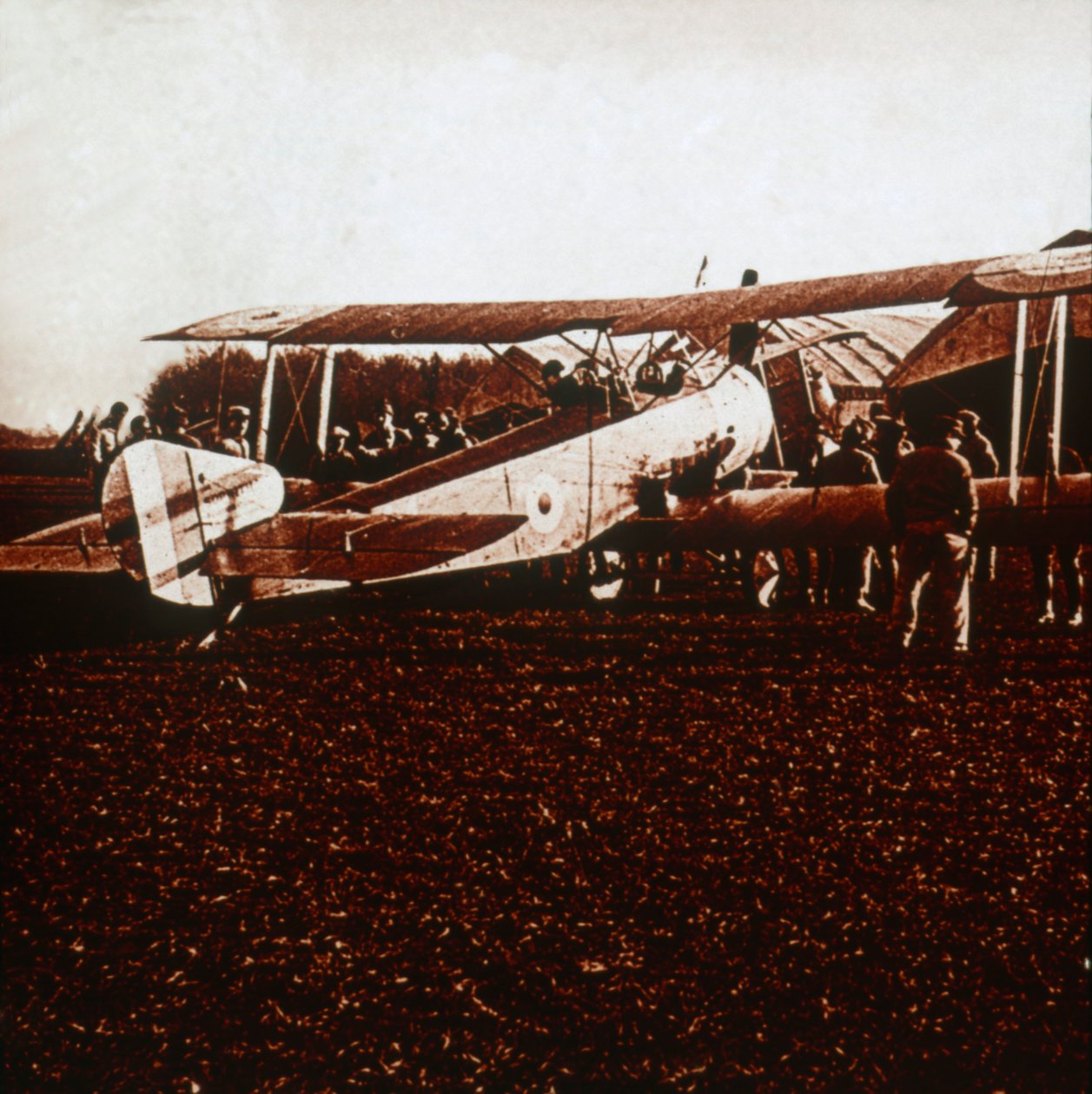 A Sopwith Camel, c1917-c1918 tekijältä Unbekannt