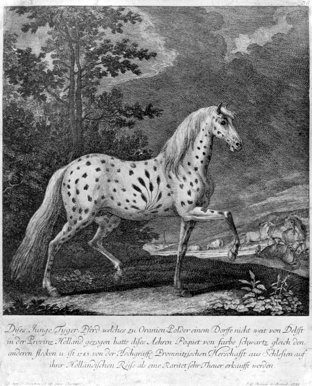 Värifriikki, Saksa, 1722 1938 tekijältä Unbekannt