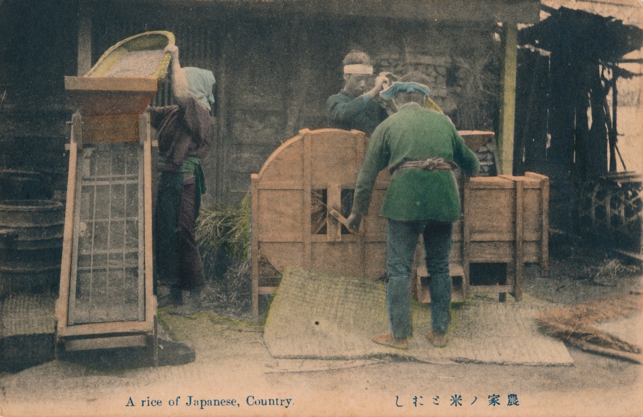 Japanilainen riisi, Country, C1910. tekijältä Unbekannt
