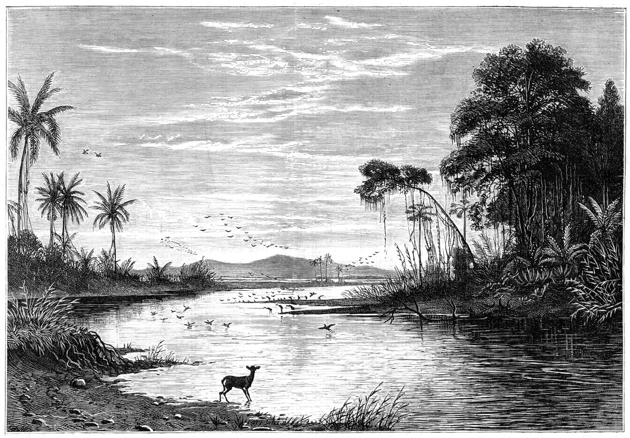 Jokikohtaus Venezuelassa, 1877 tekijältä Unbekannt