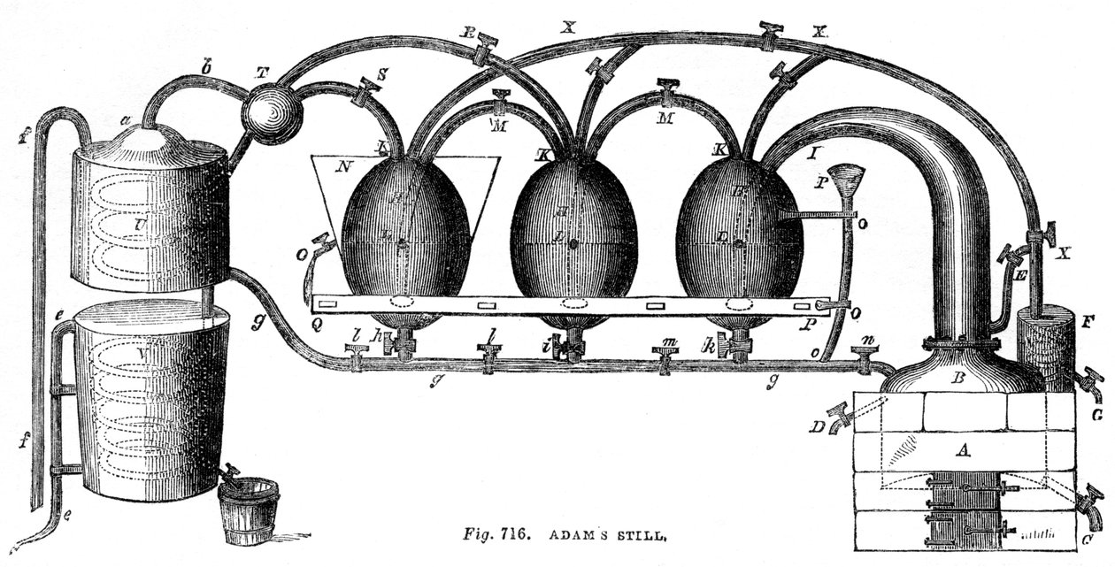 Adams still, 1886 tekijältä Unbekannt