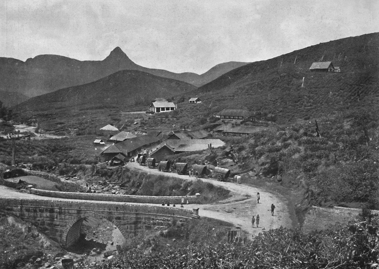 Adamspik ja Brownlow Tea Plantation, 1926 tekijältä Unbekannt