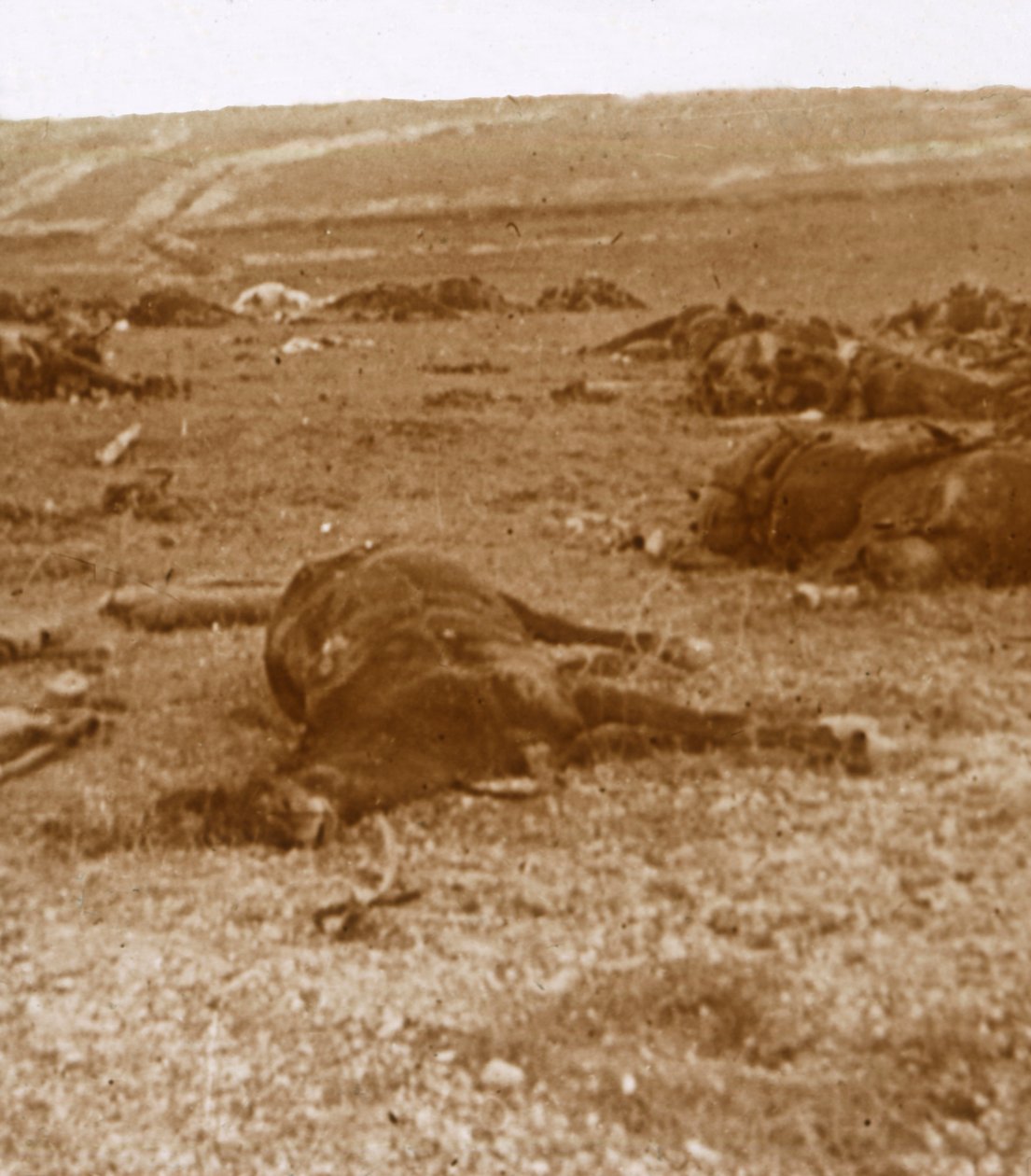 Syytön jälkeen Beauséjour, Pohjois-Ranska, c1914-c1918 tekijältä Unbekannt
