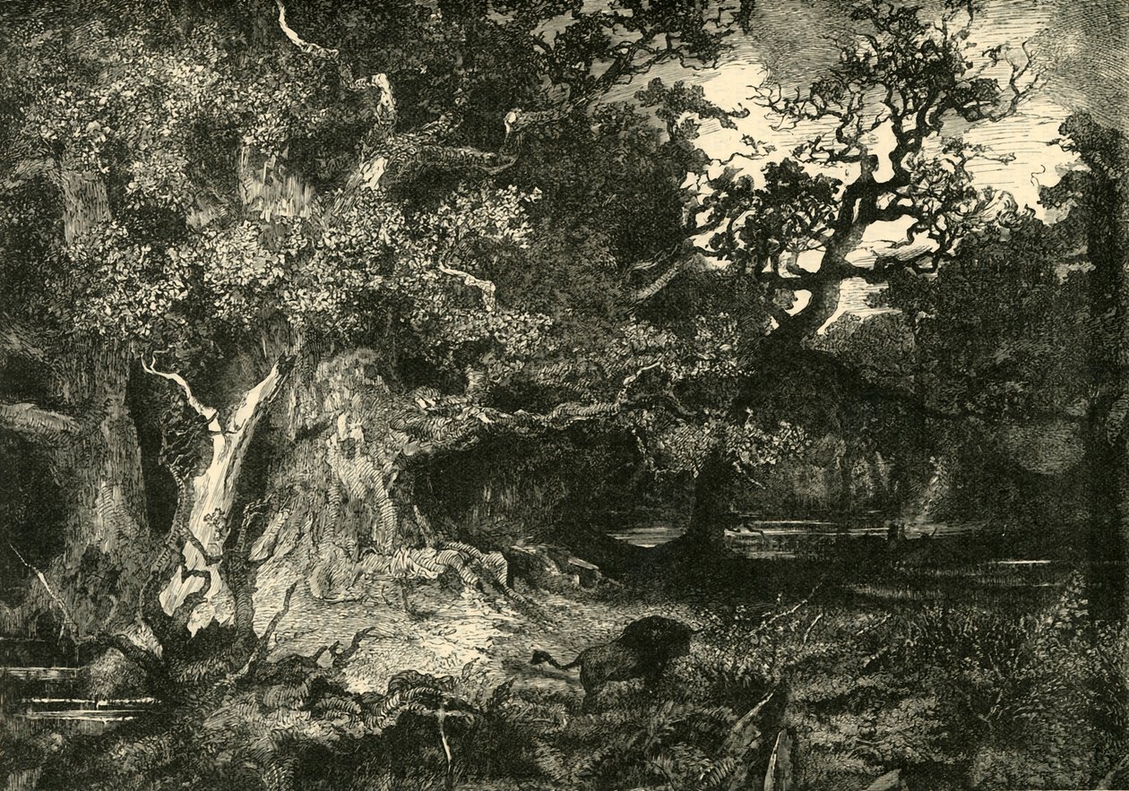 Vanha saksalainen metsä, 1890. tekijältä Unbekannt