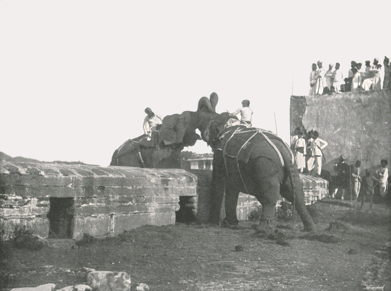 Norsutaistelu, Hyderabad, Intia, 1895. tekijältä Unbekannt