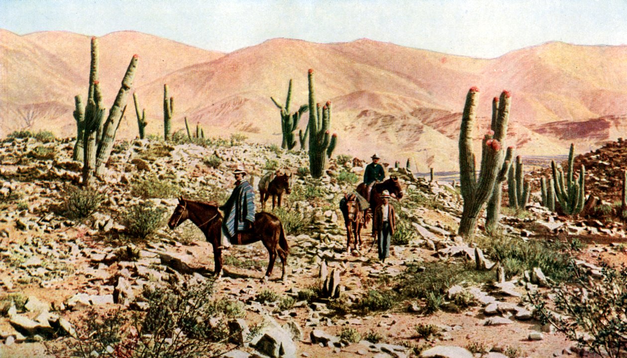 Atacaman autiomaa, Pohjois-Chile, Etelä-Amerikka, 1923 tekijältä Unbekannt