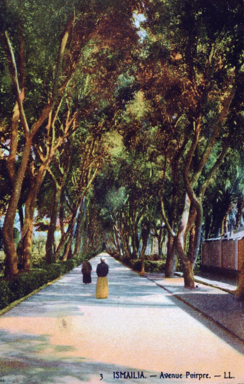 Avenue Poirpre, Ismailia, Egypti, c1900 tekijältä Unbekannt