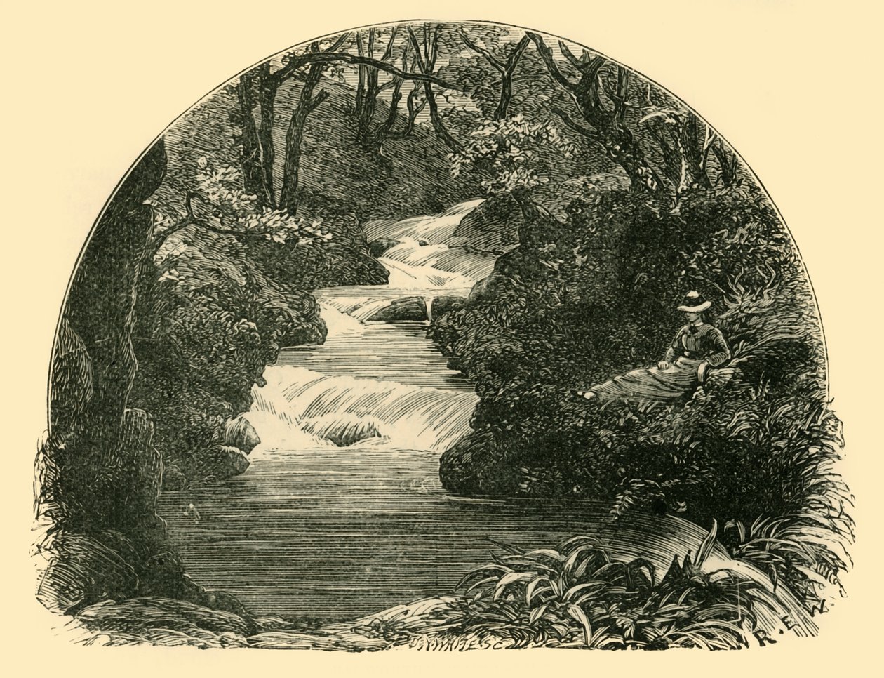 Bagworthy Waterslide, 1898. tekijältä Unbekannt