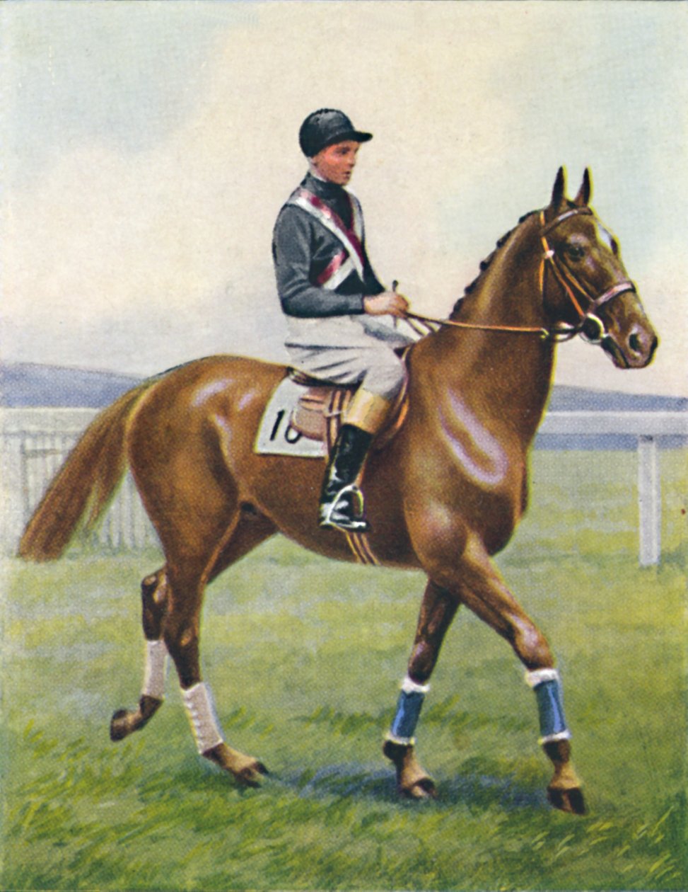 Taistelulaiva, Jockey: B. Hobbs, 1939 tekijältä Unbekannt