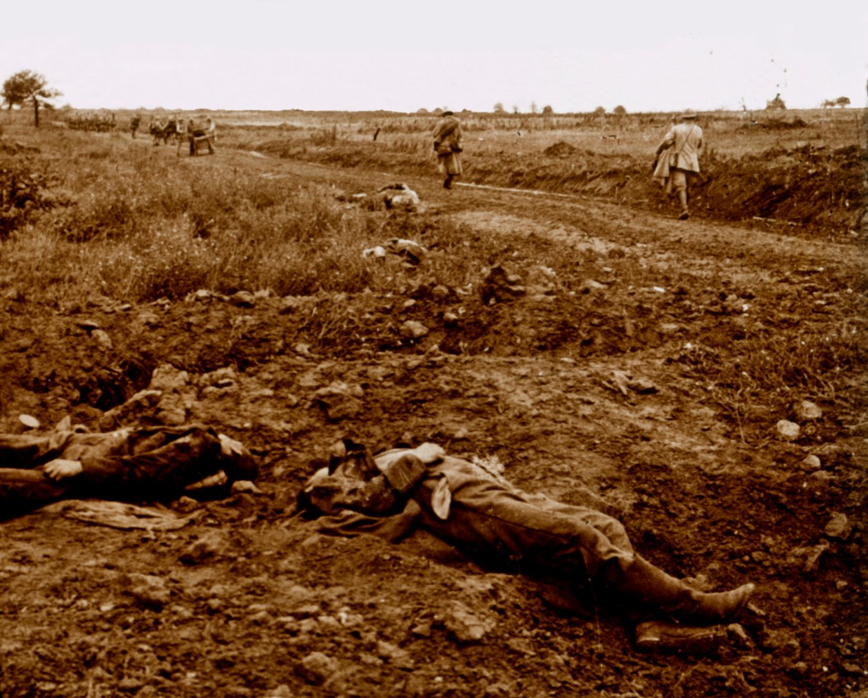 Saksalaisten sotilaiden ruumiit, c1914-c1918 tekijältä Unbekannt