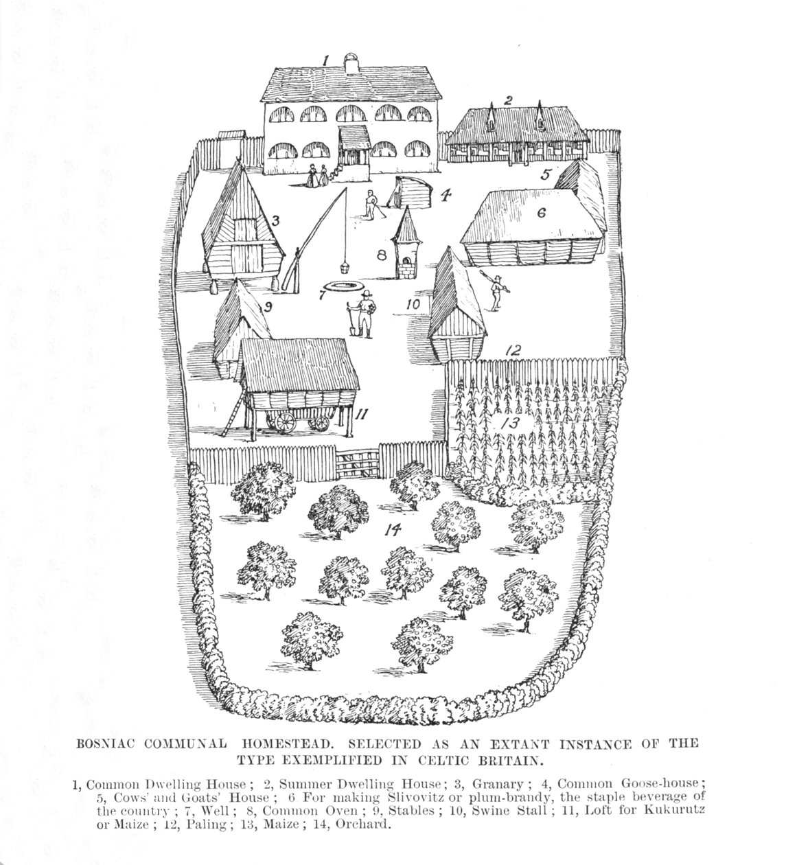 Bosniac Communal Homestead, 1902. tekijältä Unbekannt