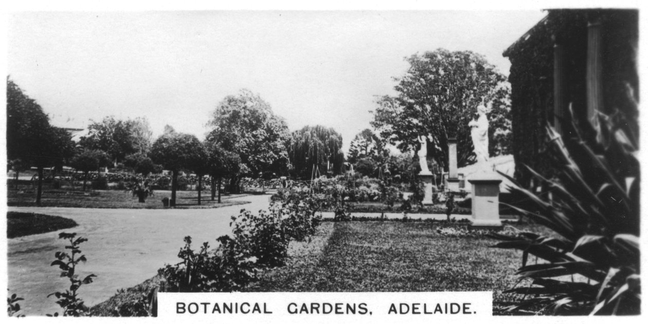 Kasvitieteellinen puutarha, Adelaide, Australia, 1928 tekijältä Unbekannt