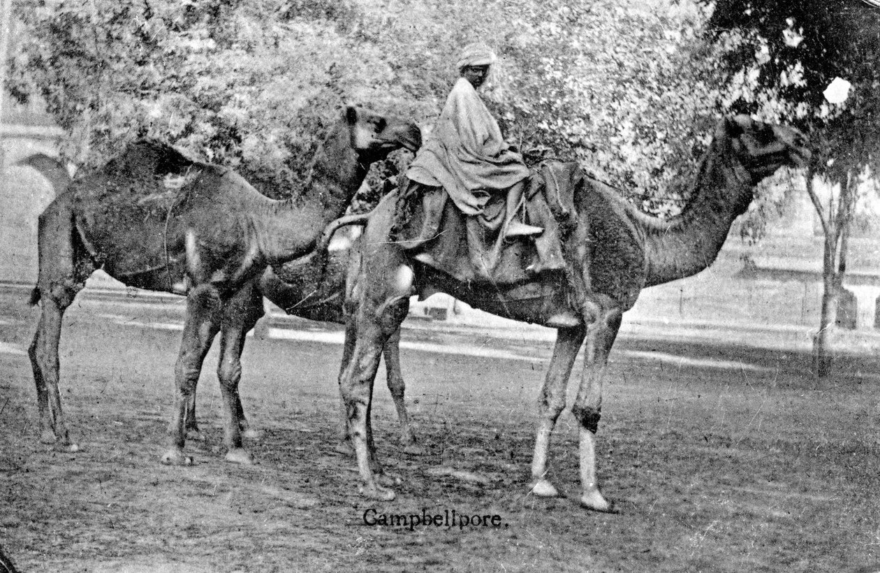 Campbellpore, Pakistan, 1900-luku tekijältä Unbekannt