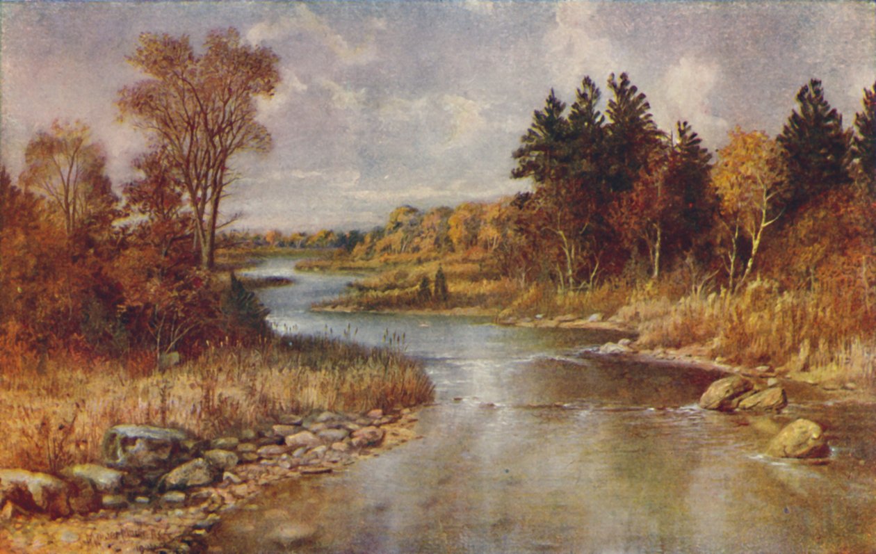 Kanadan metsäkohtaus, 1924 tekijältä Unbekannt