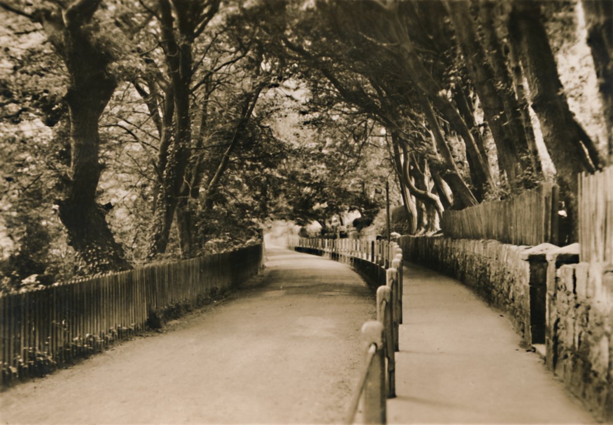 Chine Avenue, Shanklin, I.W., 1920. tekijältä Unbekannt