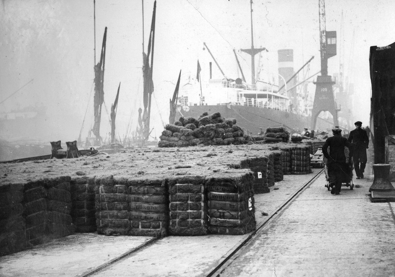 Kookoksen tuotanto, 1900-luku tekijältä Unbekannt